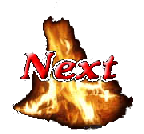 Winter Storm Survival