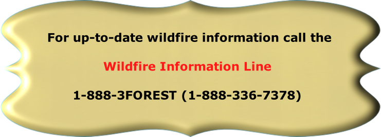  For up-to-date wildfire information call the

Wildfire Information Line

1-888-3FOREST (1-888-336-7378)
